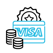 Visa Logo